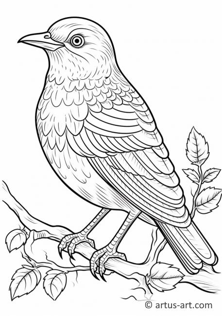 Thrush Coloring Page